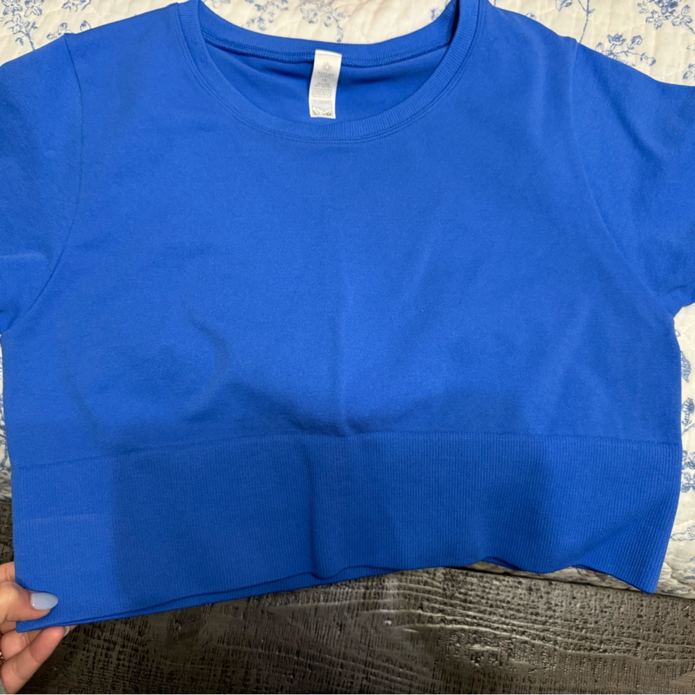 aerie Royal Blue Crewneck Cropped Tee
